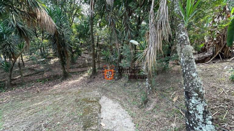 Imagem Chácara com 3 Quartos à Venda, 120 m² em Jardim Monte Belo - Campinas