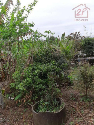 Imagem Chácara com 2 Quartos à Venda, 1.300 m² em Santa Lúcia - São José Dos Campos Imagem Chácara com 2 Quartos à Venda, 1.300 m² em Santa Lúcia - São José Dos Campos