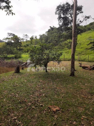 Imagem Chácara com 4 Quartos à Venda, 100 m² em Centro - Monteiro Lobato Imagem Chácara com 4 Quartos à Venda, 100 m² em Centro - Monteiro Lobato