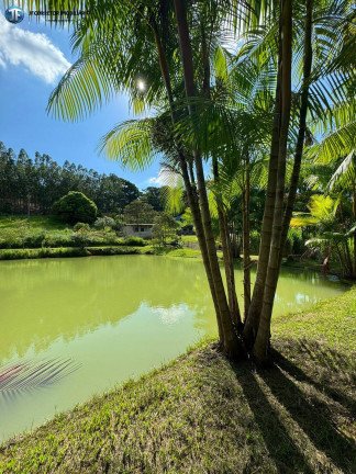 Imagem Chácara com 6 Quartos à Venda, 55.000 m² em Belo Oriente Imagem Chácara com 6 Quartos à Venda, 55.000 m² em Belo Oriente