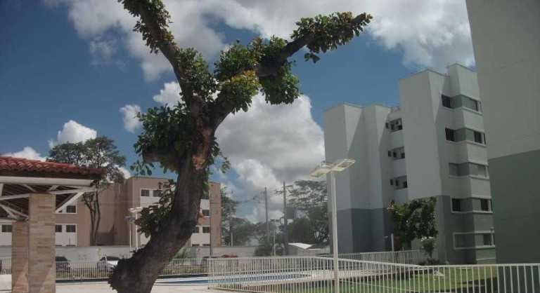 Imagem Apartamento com 3 Quartos à Venda, 59 m² em Novo Horizonte - Teresina Imagem Apartamento com 3 Quartos à Venda, 59 m² em Novo Horizonte - Teresina