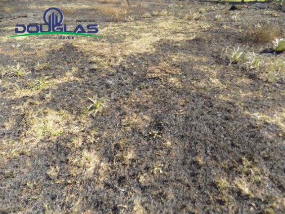 Imagem Terreno à Venda, 853 m² em Viamão Imagem Terreno à Venda, 853 m² em Viamão