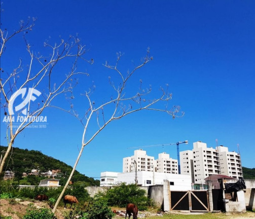 Imagem Imóvel à Venda, 3.875 m² em São Francisco De Assis - Camboriú