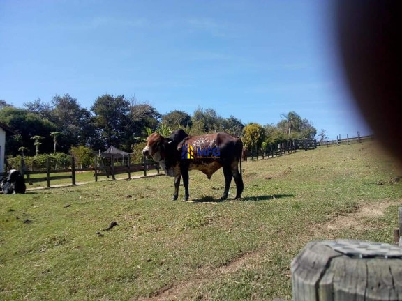 Imagem Casa com 2 Quartos à Venda, em área Rural De Tatuí - Tatuí Imagem Casa com 2 Quartos à Venda, em área Rural De Tatuí - Tatuí