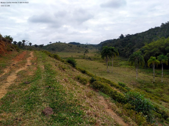 Imagem Imóvel com 3 Quartos à Venda, 1.936.000 m² em Pariquera-acu - Pariquera-acu Imagem Imóvel com 3 Quartos à Venda, 1.936.000 m² em Pariquera-acu - Pariquera-acu