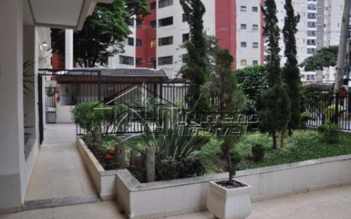Imagem Apartamento com 4 Quartos para Alugar, 115 m² em Jardim Aquarius - São José Dos Campos Imagem Apartamento com 4 Quartos para Alugar, 115 m² em Jardim Aquarius - São José Dos Campos