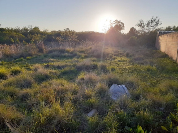 Imagem Terreno à Venda, 600 m² em Diácono João Luiz Pozzobon - Santa Maria