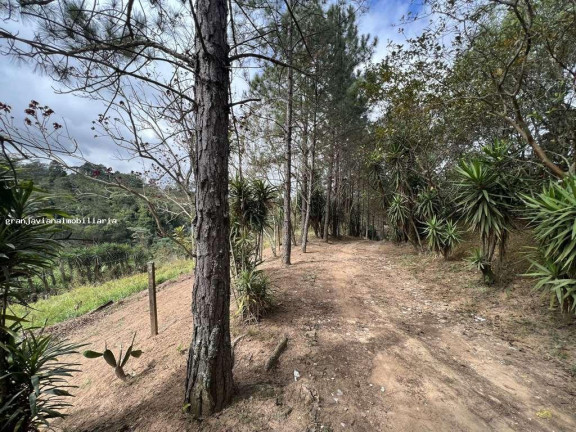 Imagem Imóvel à Venda, em Taboleiro Verde - Cotia Imagem Imóvel à Venda, em Taboleiro Verde - Cotia
