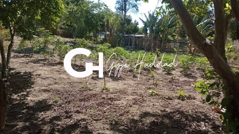 Imagem Chácara com 1 Quarto à Venda, 4.985 m² em Piedade