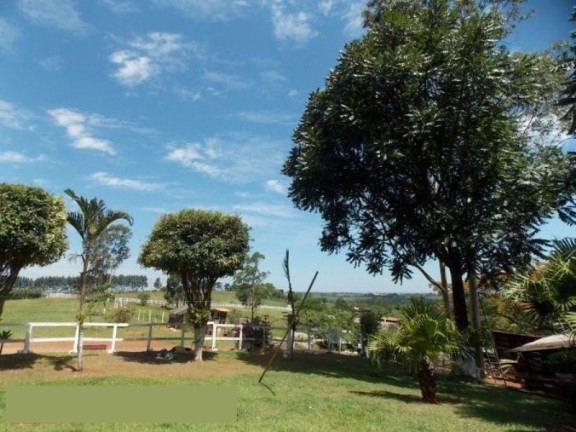 Imagem Imóvel com 2 Quartos à Venda, 42.350 m² em Sitio Novo - Artur Nogueira Imagem Imóvel com 2 Quartos à Venda, 42.350 m² em Sitio Novo - Artur Nogueira
