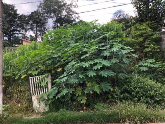 Imagem Terreno à Venda, 780 m² em Jardim Rebelato - Cotia Imagem Terreno à Venda, 780 m² em Jardim Rebelato - Cotia