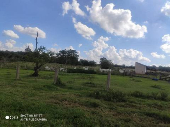 Imagem Chácara com 4 Quartos à Venda, 2.000 m² em Alambari