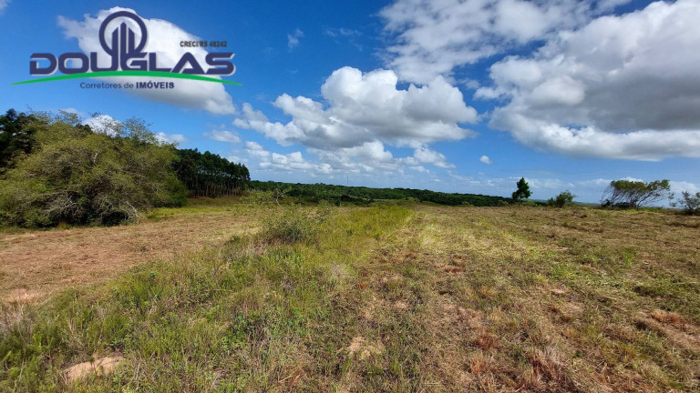 Imagem Chácara à Venda, 20.000 m² em águas Claras - Viamão