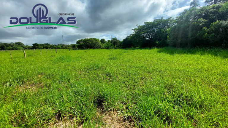 Imagem Chácara à Venda,  em águas Claras - Viamão