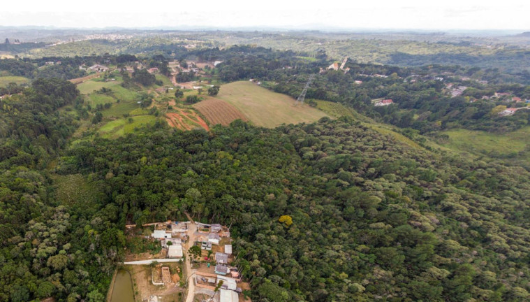 Imagem Terreno à Venda, 19.600 m² em Colônia Faria - Colombo
