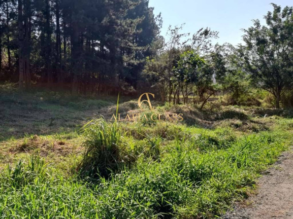 Imagem Terreno em Condomínio à Venda, 1.420 m² em Chácara Santa Lúcia - Carapicuíba