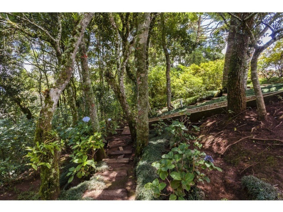 Imagem Imóvel com 4 Quartos à Venda, 640 m² em Vila Piramba - Campos Do Jordão