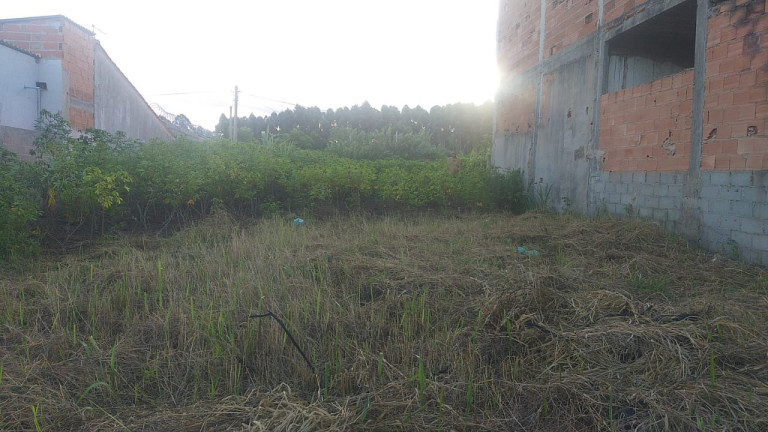Imagem Imóvel à Venda, 300 m² em Santa Cruz - Aracruz