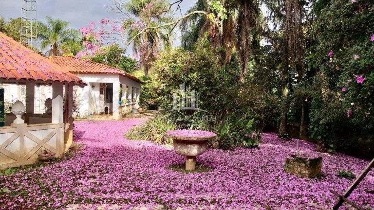 Imagem Chácara com 5 Quartos à Venda, 373 m² em Centro - Socorro Imagem Chácara com 5 Quartos à Venda, 373 m² em Centro - Socorro