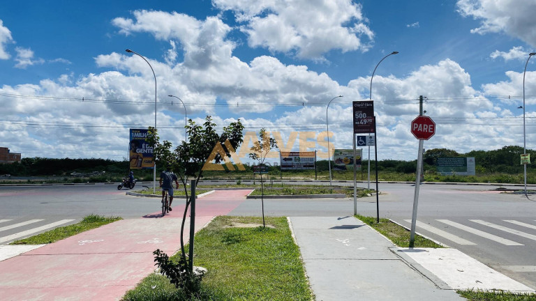 Imagem Terreno à Venda, 5.000 m² em Parque Ipê - Feira De Santana Imagem Terreno à Venda, 5.000 m² em Parque Ipê - Feira De Santana
