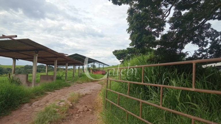 Imagem Chácara com 3 Quartos à Venda, 27 m² em área Rural De Casa Branca - Casa Branca Imagem Chácara com 3 Quartos à Venda, 27 m² em área Rural De Casa Branca - Casa Branca