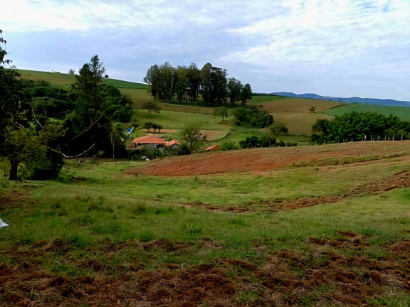 Imagem Chácara à Venda, 15 m² em Andradas Imagem Chácara à Venda, 15 m² em Andradas