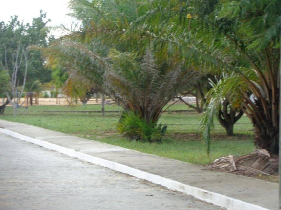 Imagem Terreno à Venda, 450 m² em Praia Da Pipa - Tibau Do Sul Imagem Terreno à Venda, 450 m² em Praia Da Pipa - Tibau Do Sul