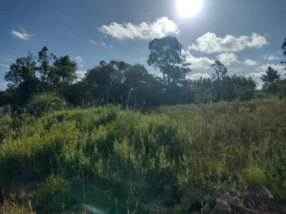 Imagem Terreno à Venda, 20.000 m² em Alto Perequê - Arroio Do Padre