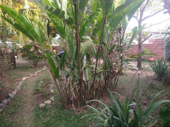 Imagem Fazenda à Venda, 3.000 m² em Jardim Santa Luzia - Guaratinguetá