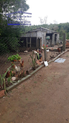 Imagem Imóvel com 3 Quartos à Venda, 120 m² em Cerro Chato - Sentinela Do Sul Imagem Imóvel com 3 Quartos à Venda, 120 m² em Cerro Chato - Sentinela Do Sul