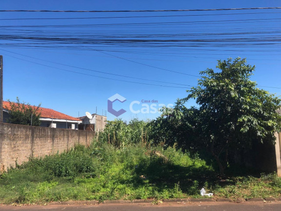 Terreno à Venda, 257 m² em Jrdim Curitibano Ii - Foz Do Iguacu