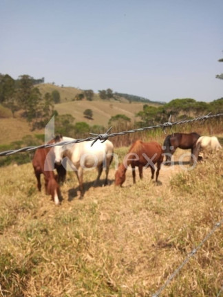 Imagem Chácara com 6 Quartos à Venda, 200 m² em Santa Joana - Santa Branca Imagem Chácara com 6 Quartos à Venda, 200 m² em Santa Joana - Santa Branca