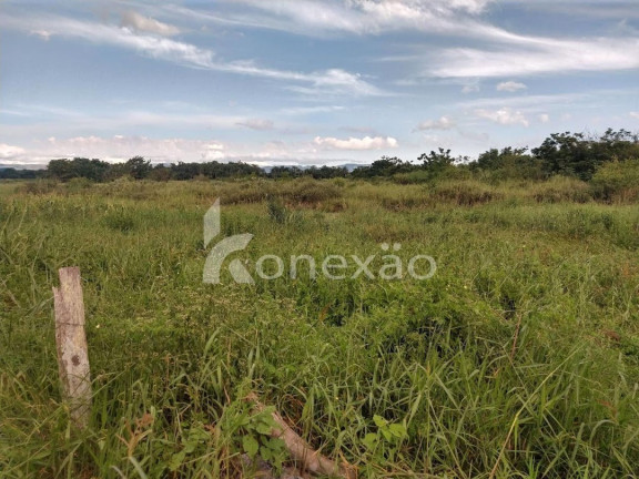 Imagem Chácara com 1 Quarto à Venda, 300 m² em Bairro Marambaia - Caçapava Imagem Chácara com 1 Quarto à Venda, 300 m² em Bairro Marambaia - Caçapava