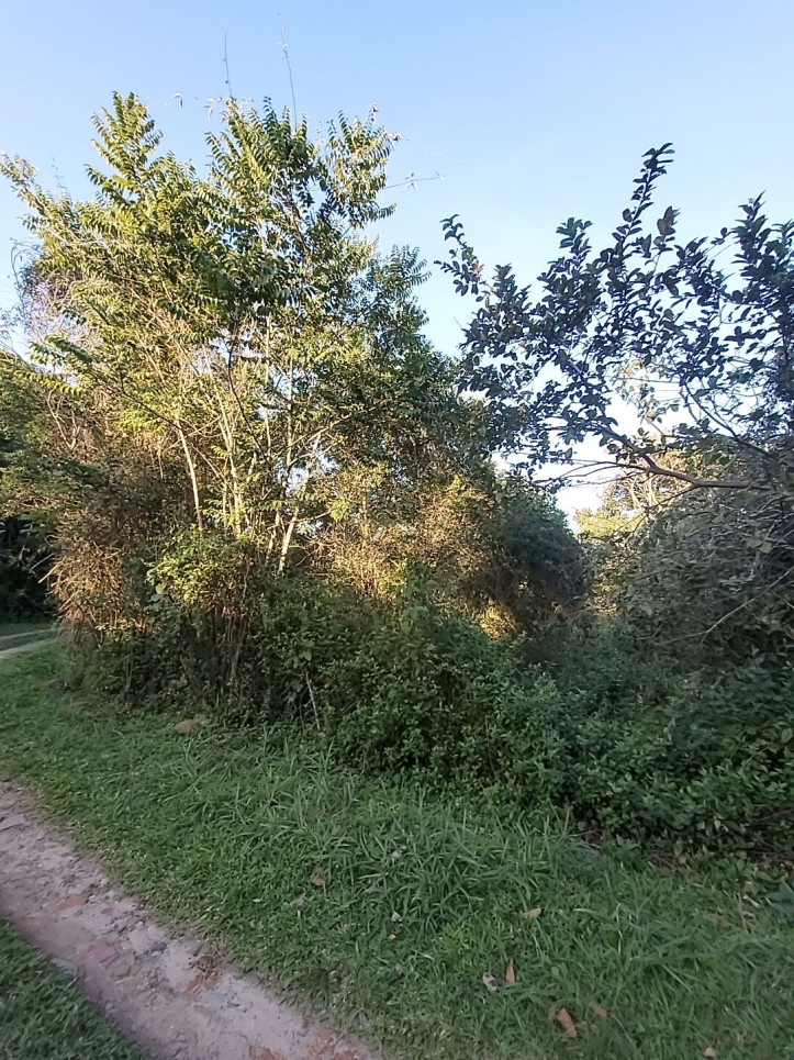 Terreno à Venda, 3.993 m² em Ratones - Florianópolis