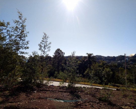 Imagem Imóvel à Venda, 394 m² em Bavária - Nova Petrópolis Imagem Imóvel à Venda, 394 m² em Bavária - Nova Petrópolis