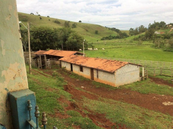 Imagem Imóvel com 3 Quartos à Venda, 448.000 m² em Roseta - Cambuí
