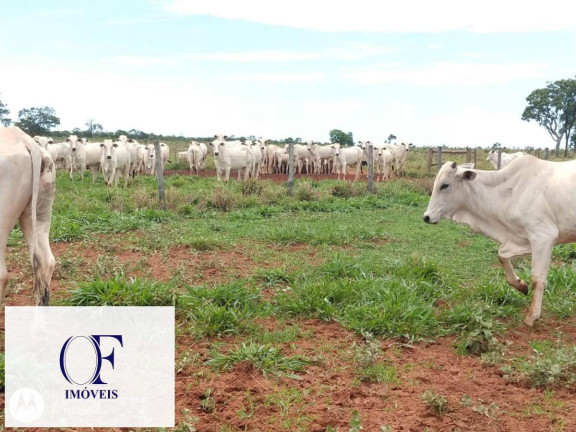 Imagem Fazenda à Venda, 3.097 m² em Rural - Chapadão Do Sul