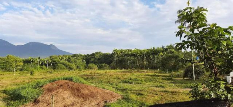 Imagem Imóvel com 2 Quartos à Venda, 111.000 m² em Alexandra - Paranagua Imagem Imóvel com 2 Quartos à Venda, 111.000 m² em Alexandra - Paranagua