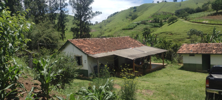Imagem Chácara com 3 Quartos à Venda,  em Centro - São Luíz Do Paraitinga