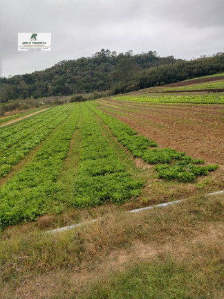 Imagem Terreno à Venda, 2.500 m² em Caetê - São Roque Imagem Terreno à Venda, 2.500 m² em Caetê - São Roque