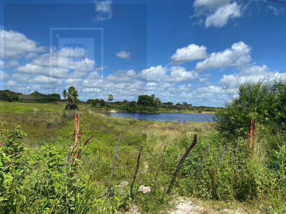 Imagem Terreno à Venda, 244.858 m² em Sucatinga - Beberibe