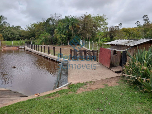 Imagem Chácara à Venda, 10.000 m² em Morro Alto - Balneário Piçarras
