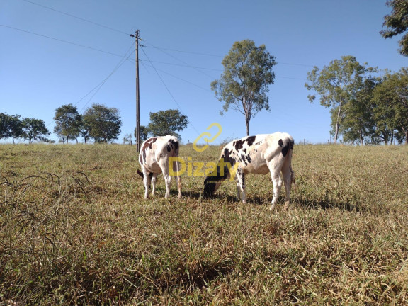 Imagem Fazenda à Venda, em Fazenda Boa Sorte - Morro Da Garca Imagem Fazenda à Venda, em Fazenda Boa Sorte - Morro Da Garca