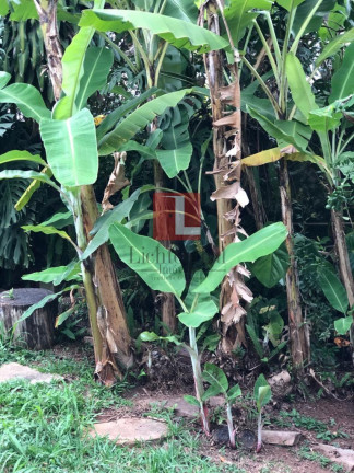 Imagem Casa com 7 Quartos à Venda, 400 m² em Pacaembu - São Paulo Imagem Casa com 7 Quartos à Venda, 400 m² em Pacaembu - São Paulo