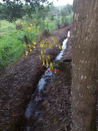 Imagem Imóvel com 1 Quarto à Venda, em Rural - Jacutinga Imagem Imóvel com 1 Quarto à Venda, em Rural - Jacutinga