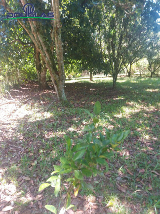 Imagem Terreno à Venda, 600 m² em águas Claras - Viamão