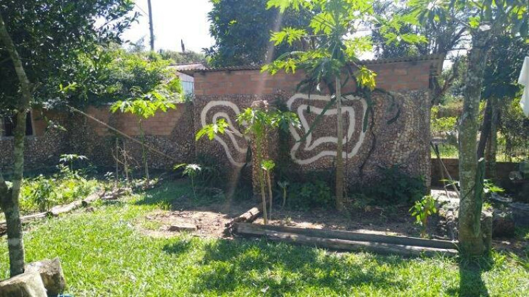 Imagem Chácara com 3 Quartos à Venda, 940 m² em águas Claras - Viamão