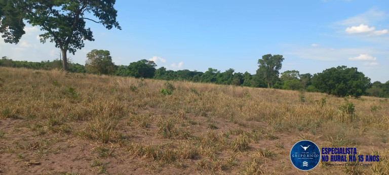Imagem Fazenda à Venda, 300 m² em Zona Rural - Barra Do Garças Imagem Fazenda à Venda, 300 m² em Zona Rural - Barra Do Garças