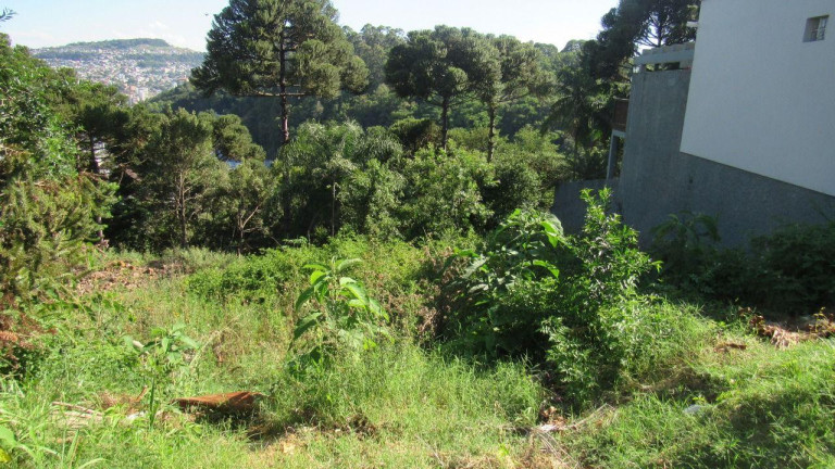 Imagem Terreno à Venda, 450 m² em Jardim - Concórdia Imagem Terreno à Venda, 450 m² em Jardim - Concórdia