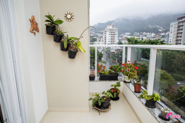 Imagem Apartamento com 2 Quartos à Venda, 69 m² em Trindade - Florianópolis Imagem Apartamento com 2 Quartos à Venda, 69 m² em Trindade - Florianópolis